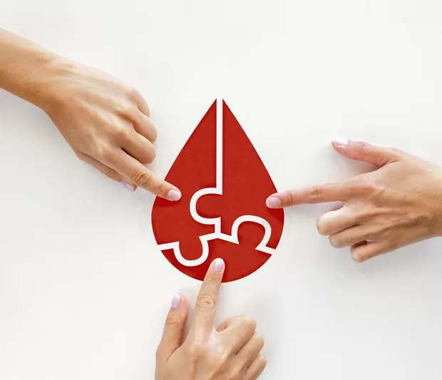 Donar sangre: El proceso biológico que oxigena y renueva tu salud